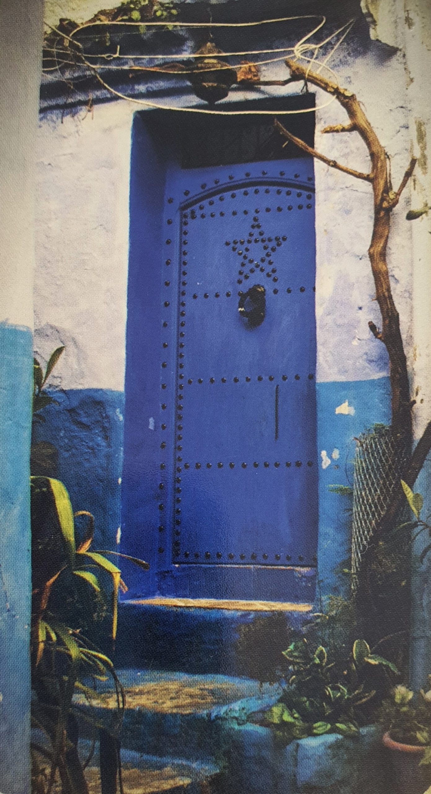 Porte_#Divine_aleyxellle.org